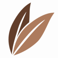 cropped-LOGO-GOODEPICES-concepteur-distributeur-epices-restauration.png Good Epices, concepteur et distributeur d'épices pour la restauration