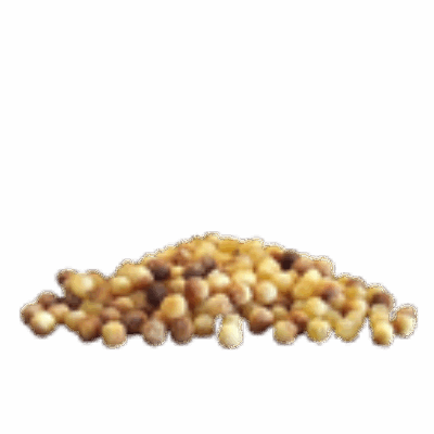 RSesame7GoodepicesFiches15371-1.png RSesame7GoodepicesFiches15371-1.png