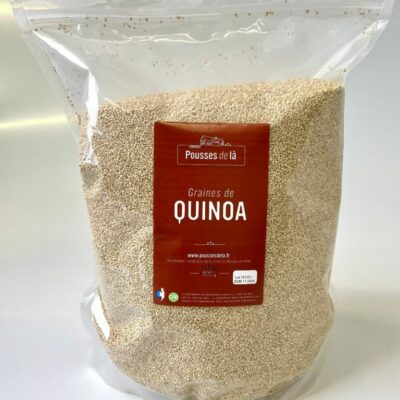 RSesame7GoodepicesFiches22741-2-1.jpg RSesame7GoodepicesFiches22741-2-1.jpg